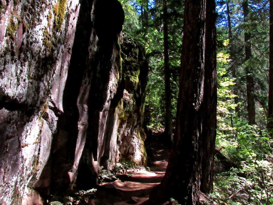 Falls Creek Falls Trail at Gifford Pinchot NF in WA