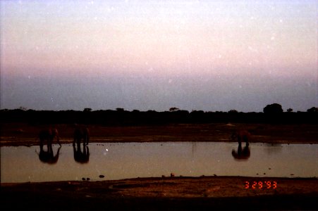 FOUND: Africa