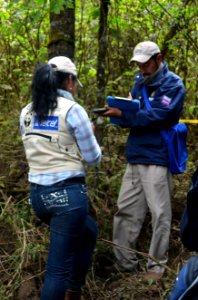 WWF - Mexico monitors the monarchs at the overwintering grounds annually.