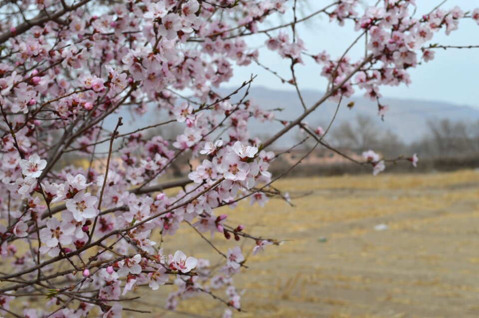 Views landscape spring