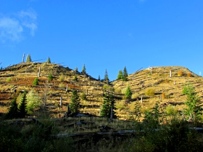 Mt. St. Helens NM in WA