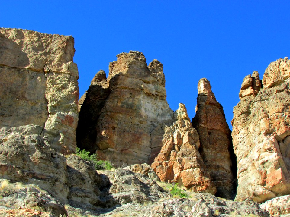 Clarno Unit at John Day Fossil Beds NM in OR