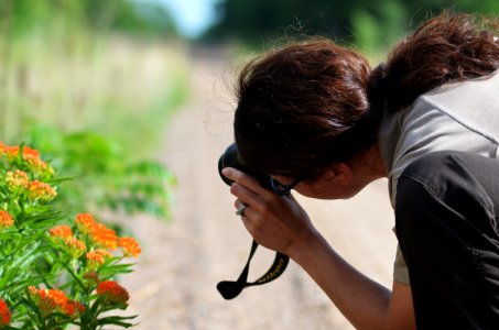 Biologist Kris Spaeth Photographs Butterfly Milkweed photo