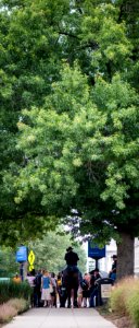 20170721-AMS-LSC-0652 1