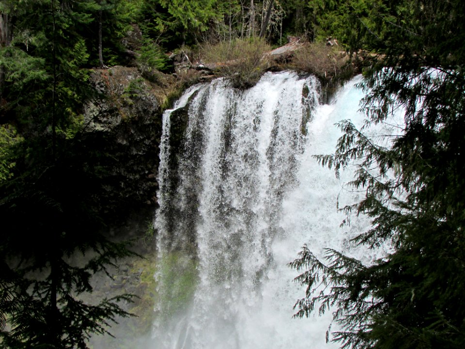 Koosah Falls at McKenzie River in Central OR