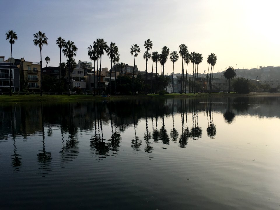 Playa del Rey Lagoon (1)