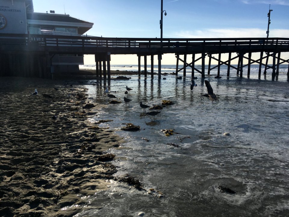 Newport Balboa Peninsula by Zach Rehm
