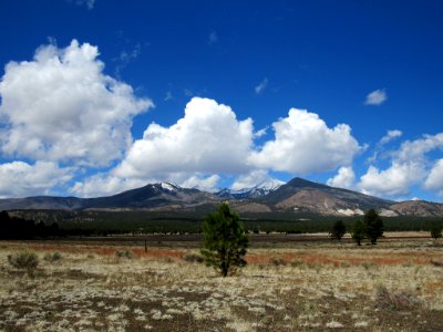 Sunset Crater Volcano NM in Arizona photo