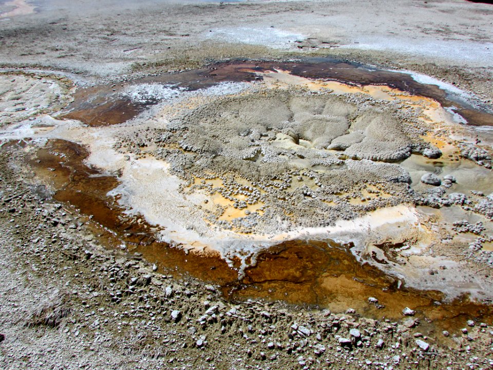 Yellowstone NP in WY