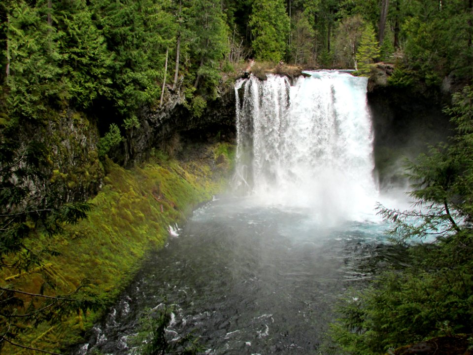 Koosah Falls at McKenzie River in Central OR