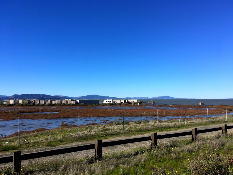 Looking Southwest from Dotson Family Marsh, Richmond CA