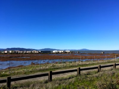 Looking Southwest from Dotson Family Marsh, Richmond CA