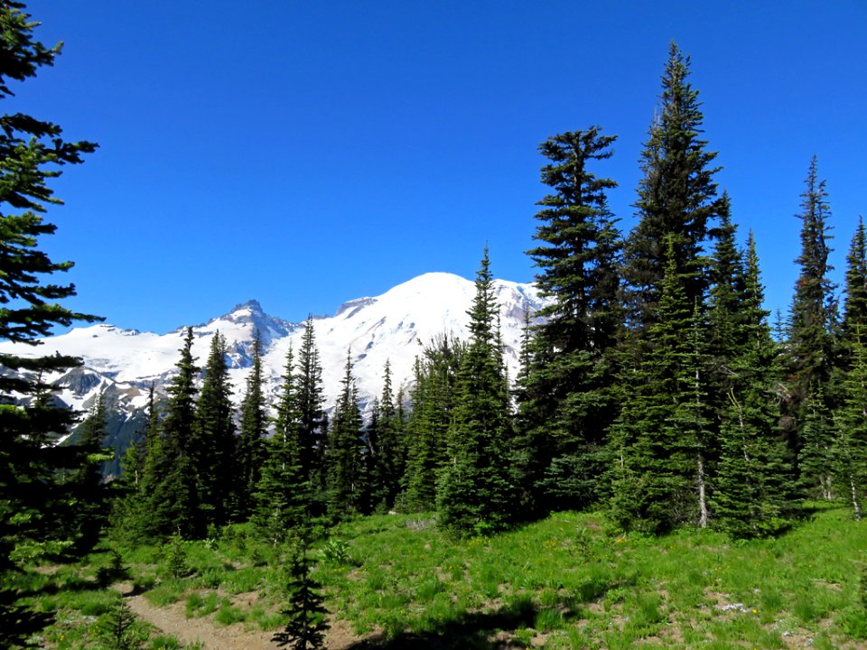 Mt. Rainier NP in Washington
