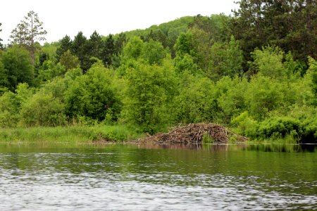 Beaver Lodge photo