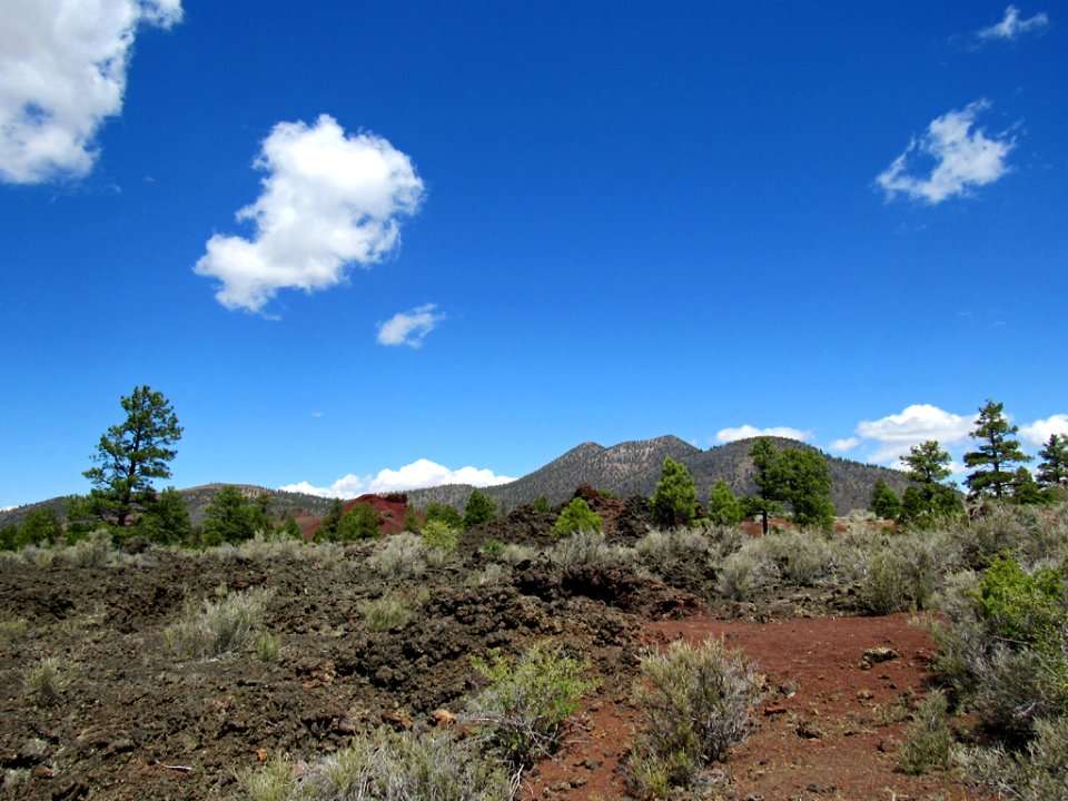 Sunset Crater Volcano NM in Arizona