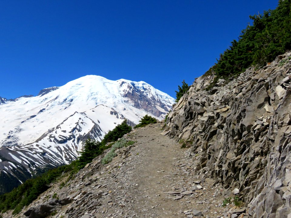 Mt. Rainier NP in Washington