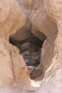 IMG 0456