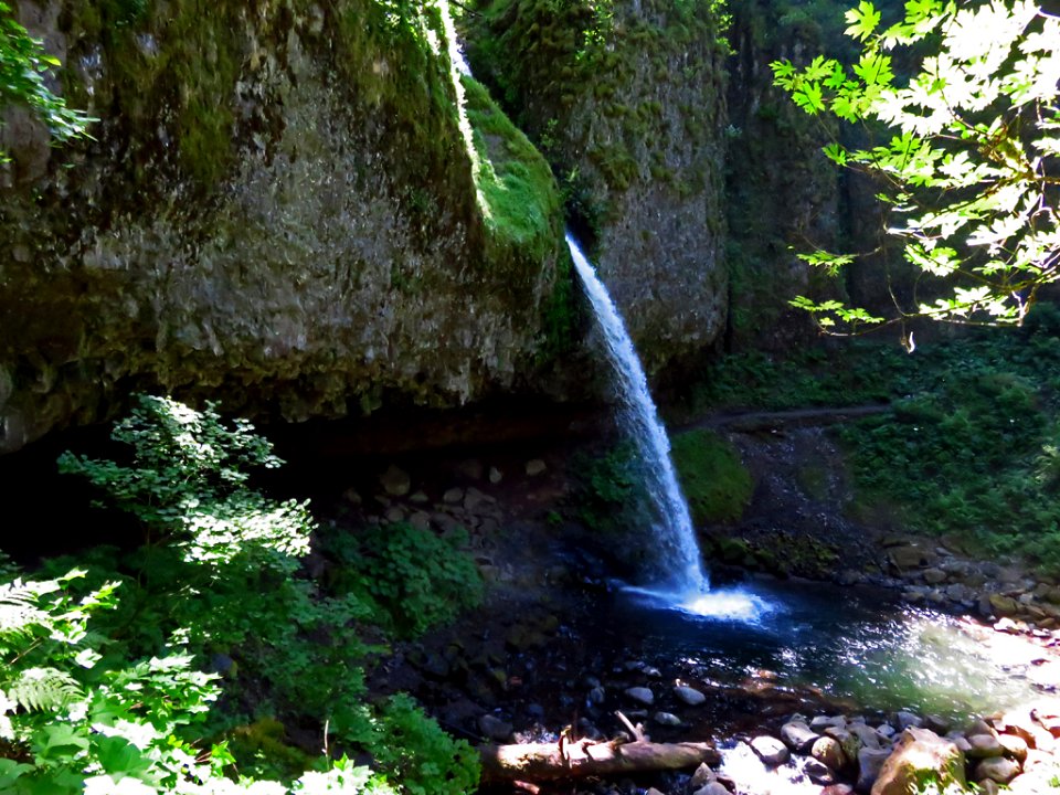 Ponytail Falls at Columbia River Gorge in Oregon