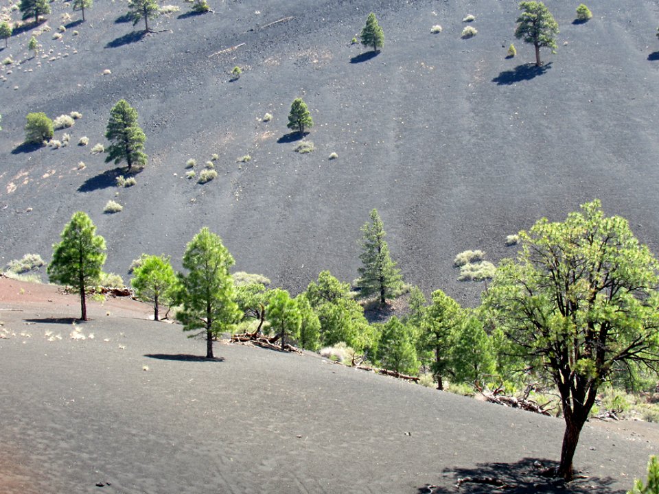 Sunset Crater Volcano NM in Arizona