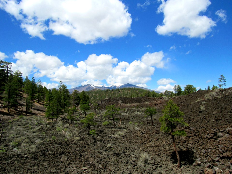 Sunset Crater Volcano NM in Arizona