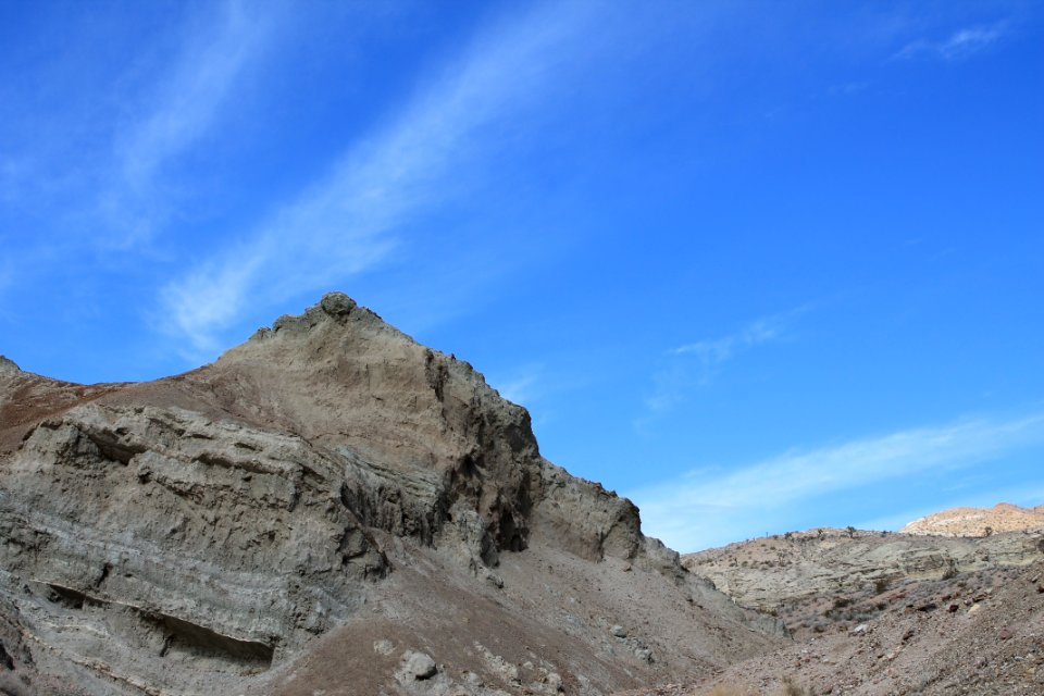 IMG 0395