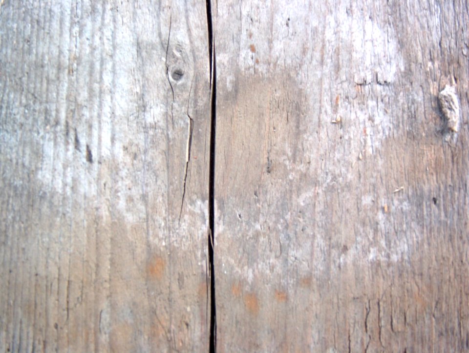holz06