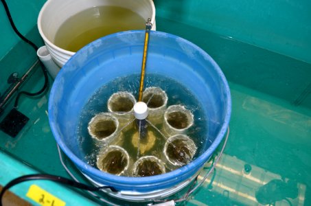 La Crosse FWCO Mussel Mucket Bucket photo