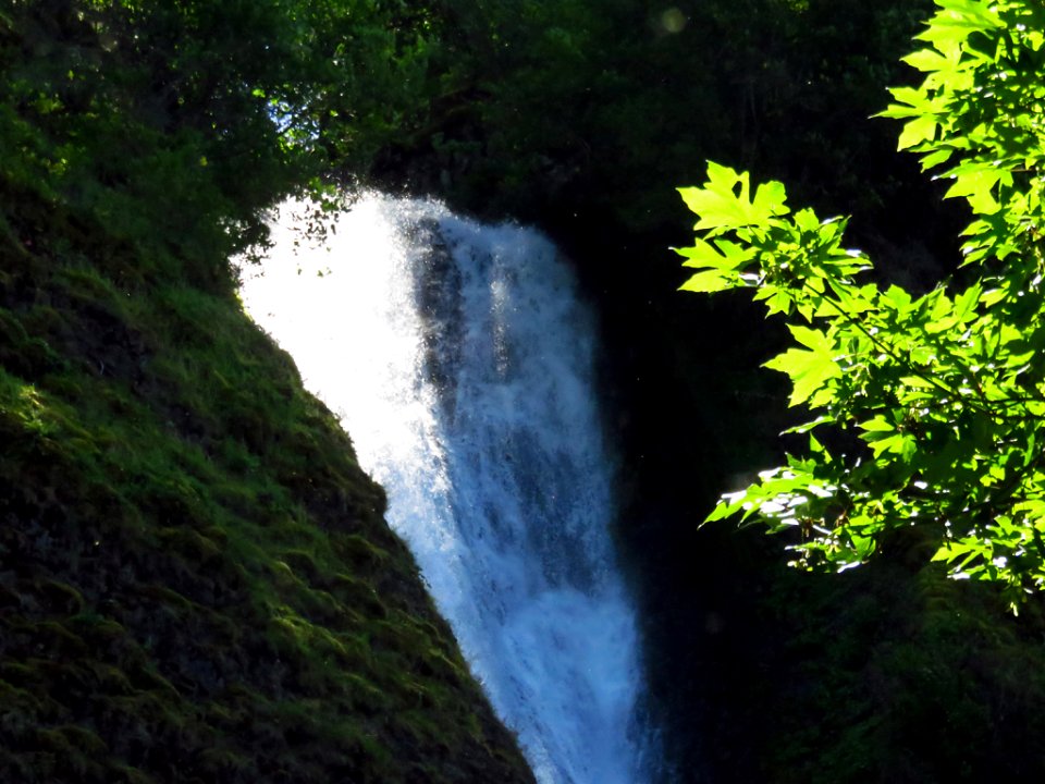 Horsetail Falls at Columbia River Gorge in Oregon