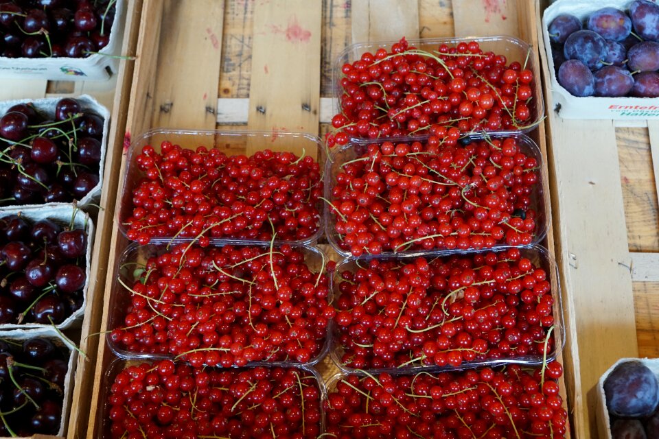 Currants red market