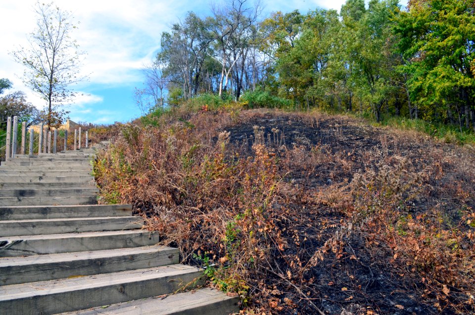 Prescribed Burn Work photo