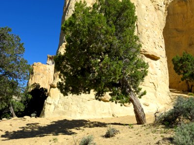 Grosvenor Arch at Grand Staircase-Escalante NM in UT