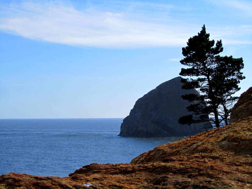 Pacific City at Pacific Coast In OR