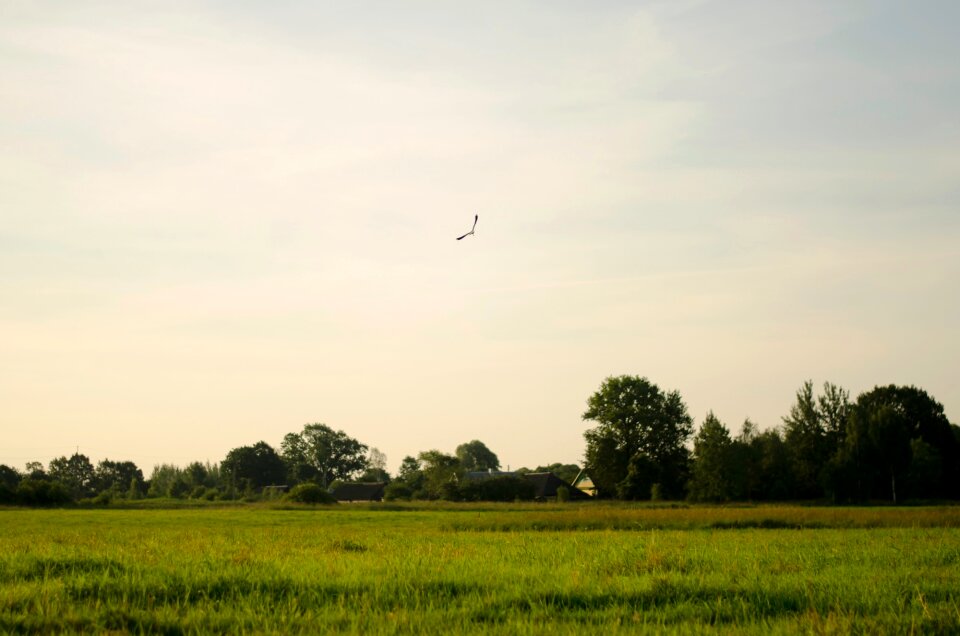 Field rural agriculture