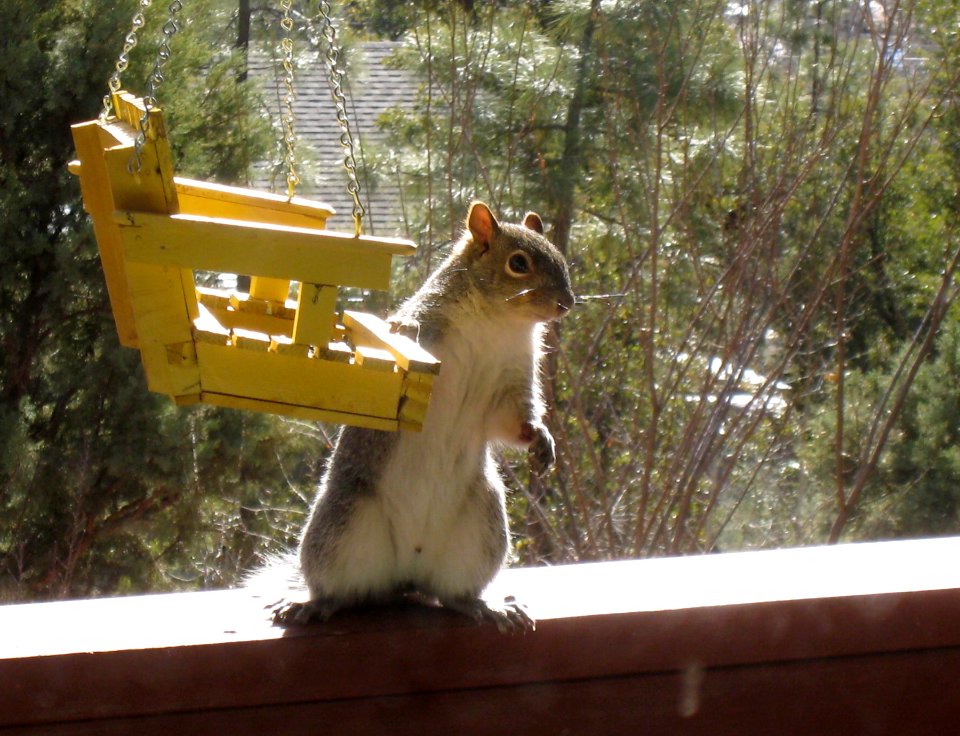 Hey, This is MY Food
