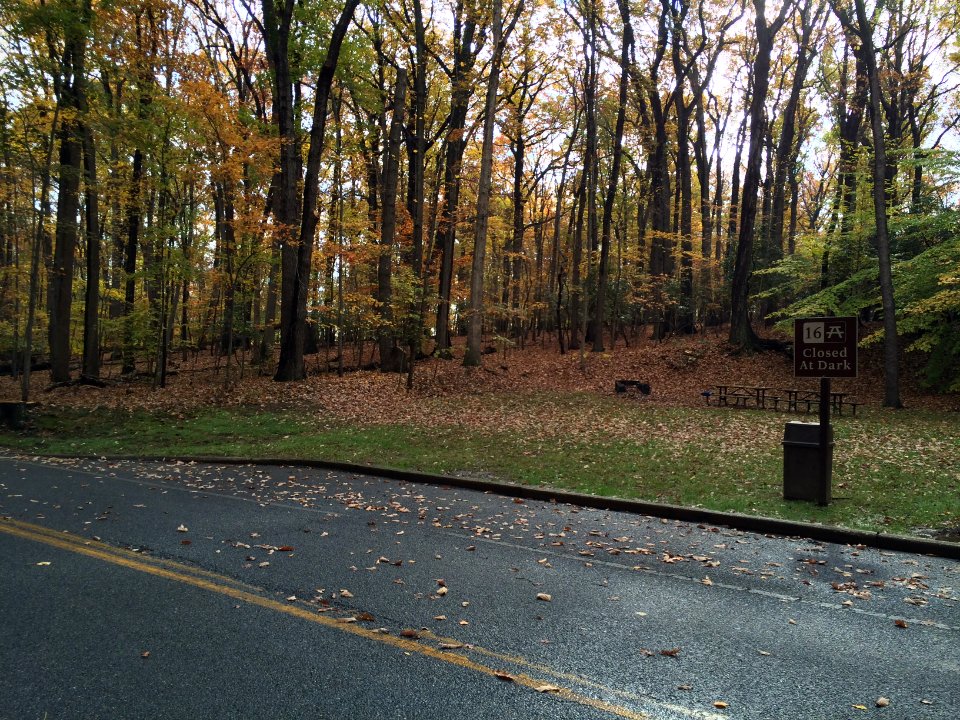 Picnic Area 16 at Rock Creek Park