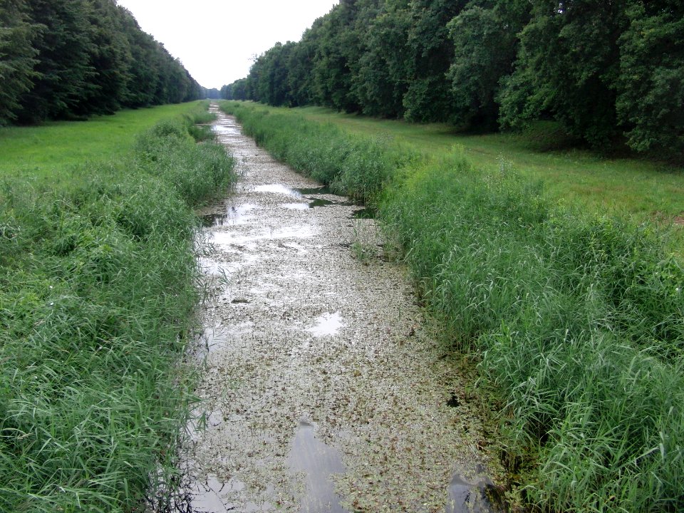 Fluss