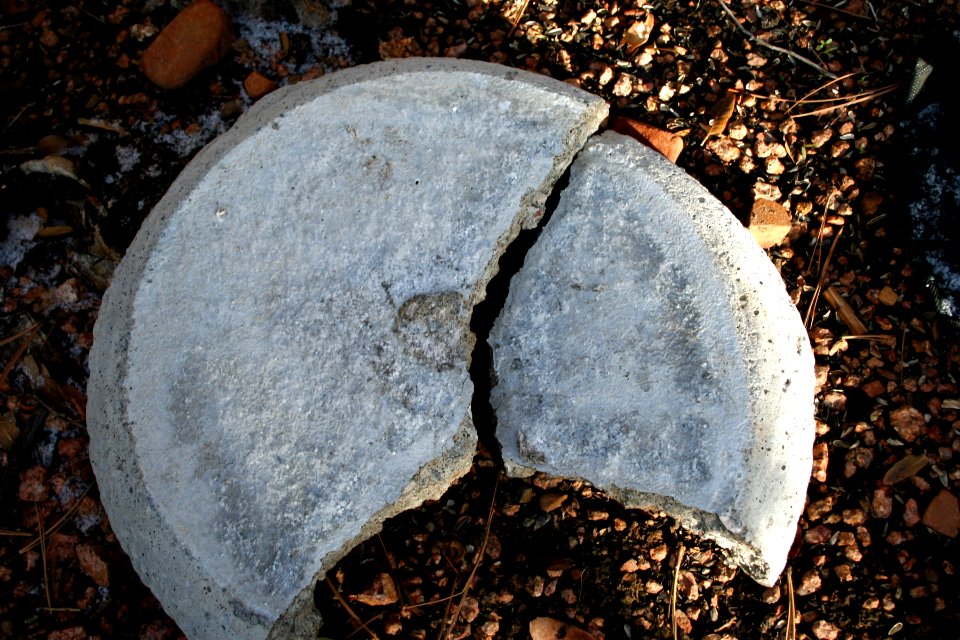 Thats the Way the Bird Bath Bounces