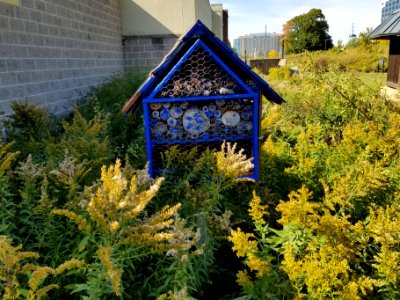 Bee hotel in a refuge pollinator garden photo