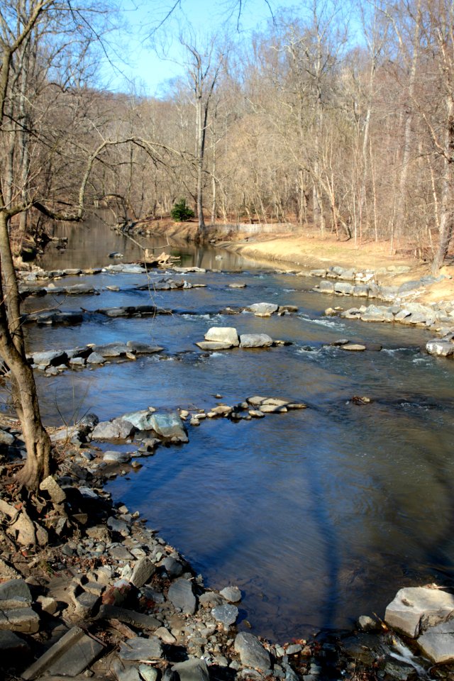 Step pools