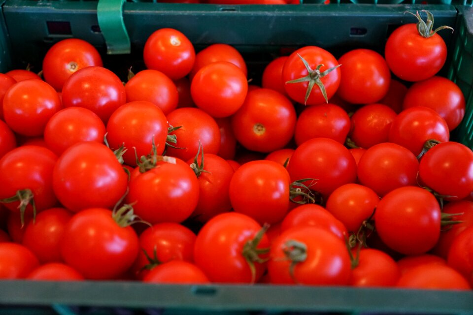 Market vegetables vitamins