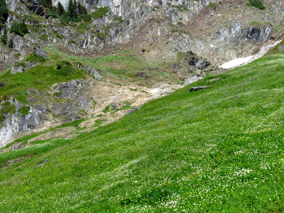 Hidden Lake Trail at North Cascades NP in WA
