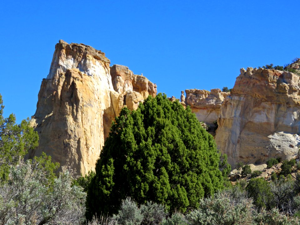 Grosvenor Arch at Grand Staircase-Escalante NM in UT