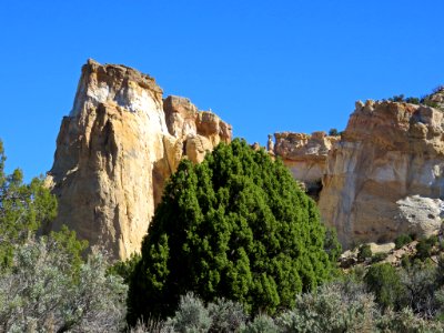 Grosvenor Arch at Grand Staircase-Escalante NM in UT photo