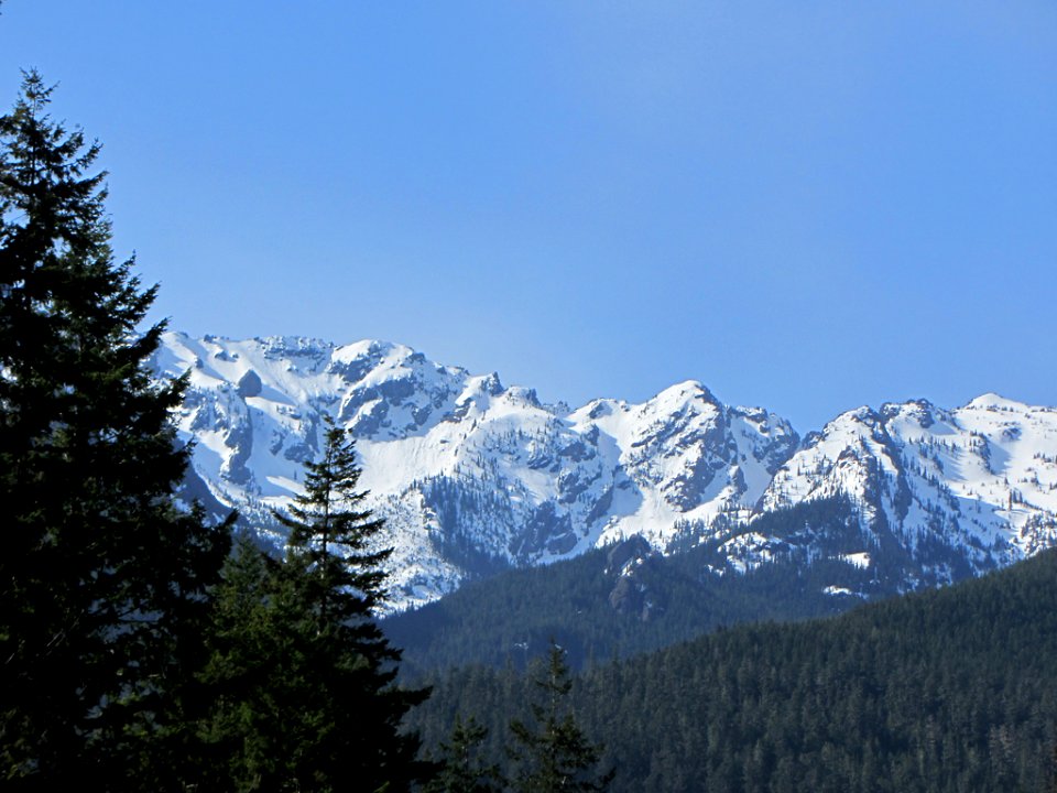 Hurricane Ridge at Olympic NP in WA