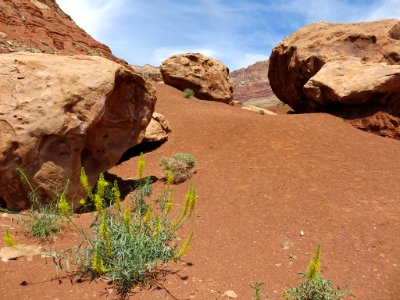 Navajo Land in AZ photo