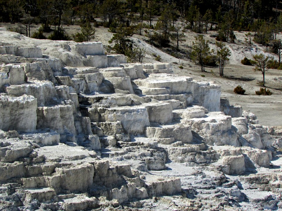 Yellowstone NP in WY