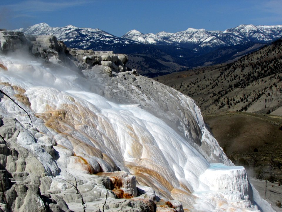 Yellowstone NP in WY
