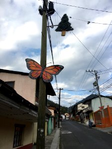 Monarch decorations on telephone poles in Mexico