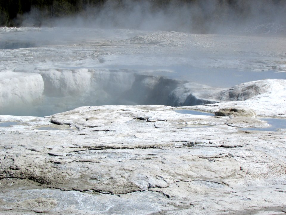 Yellowstone NP in WY