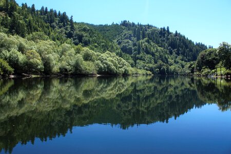 Forest water crisp